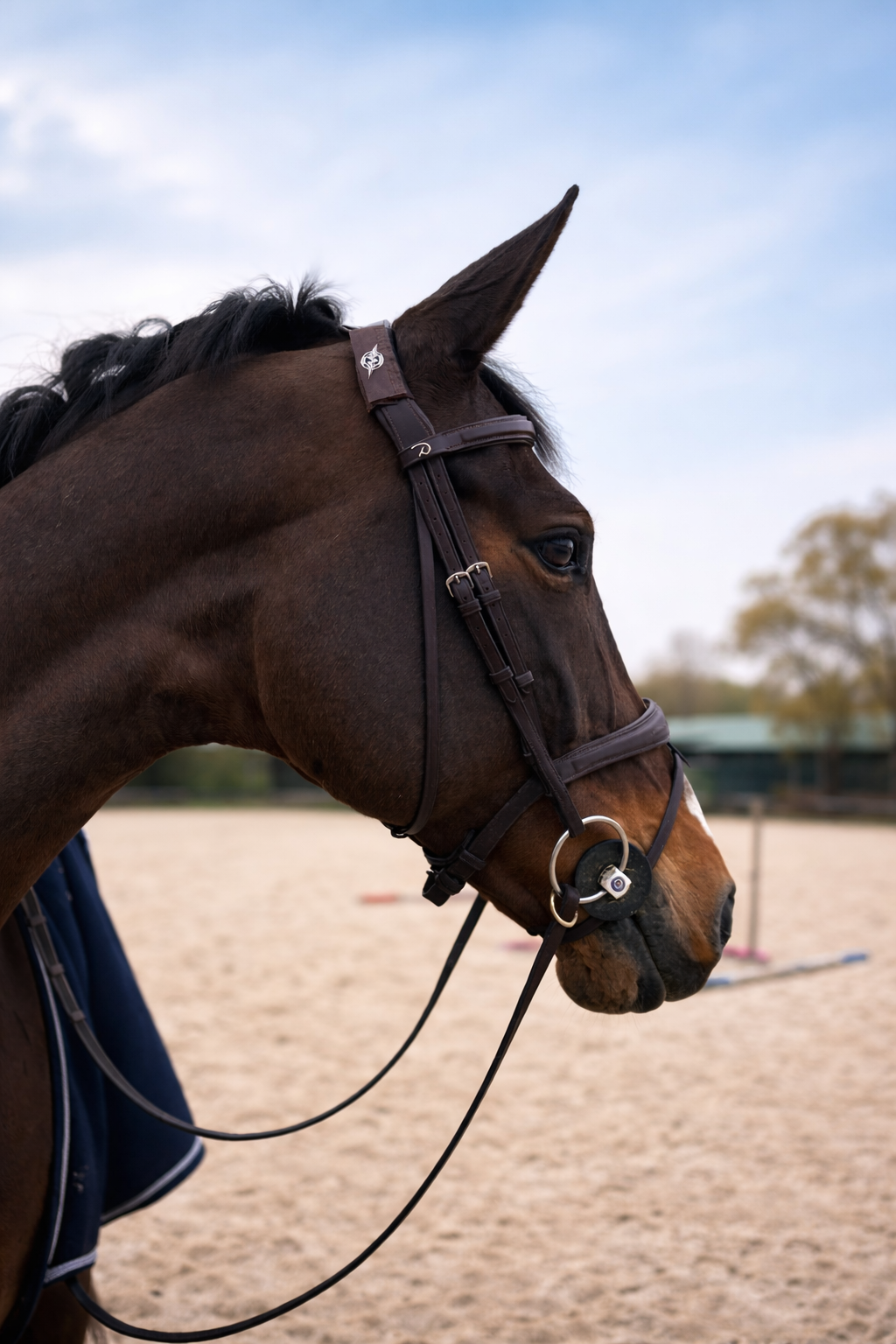 Paard met een kleine ronde patch op de frontriem van het hoofdstel